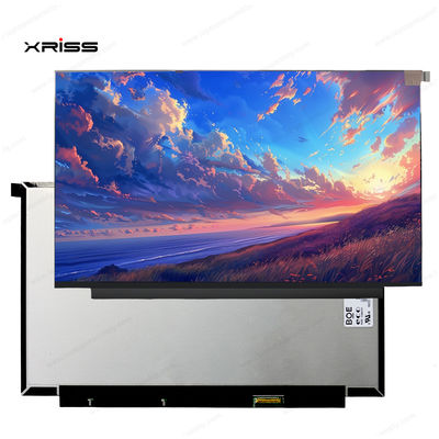 qualità  13.3 Inch Touch Screen For Lenovo ThinkBook 13x ITG Notebook PC Digitizer Assembly Replacement fabbrica