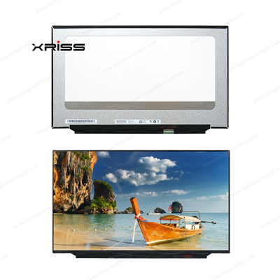 B173HAN04.2 NV173FHM-N4C NV173FHM-N46 IPS FHD Pannello di visualizzazione LCD 17.3 EDP 30pin