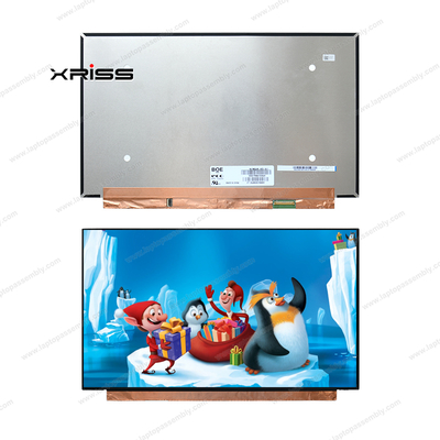 Nuovo schermo LCD per laptop BOE 15,6